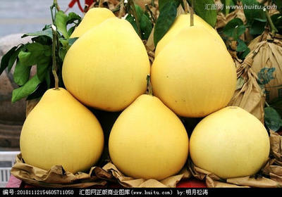 柚子批发指南 从挑选到采购的全流程解析