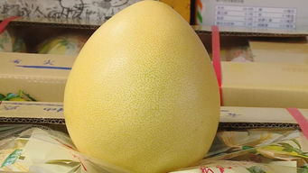 像冰淇淋一样的瓜，满嘴爆汁的梨——秋季时令水果推荐与柚子批发指南