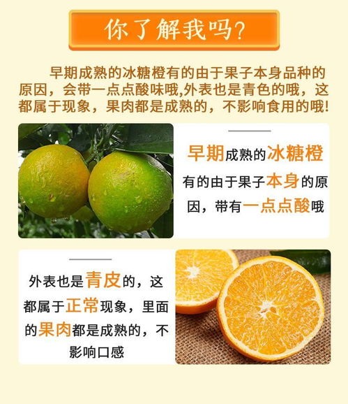 甜蜜柚惑与橙香四溢 当季水果的交响盛宴