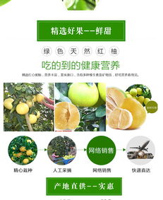 福建平和县闽庆红果蔬专业合作社 品质柚子批发首选