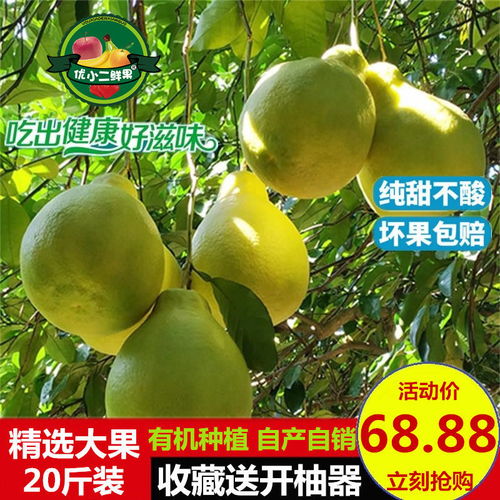 梅州金柚 纯甜沙田柚的经典之选——广东梅县特产批发指南